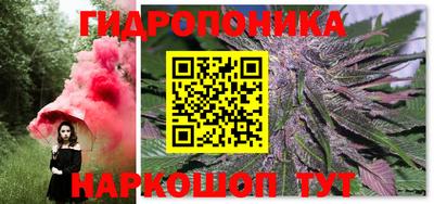 spice Лесосибирск