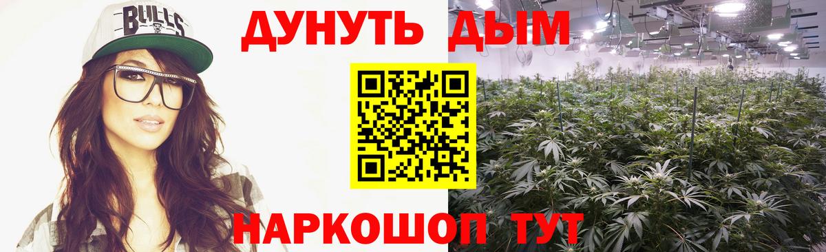 Бошки Шишки ГИДРОПОН Удомля